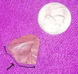 WP_20140117_006.webp