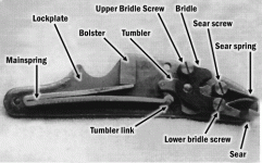 figure1.gif