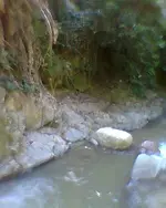 Foto0815.webp