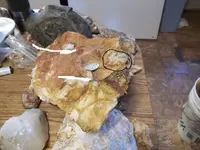 Gray and greasy rock pocket 008.webp