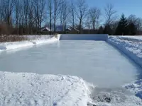 rink_feb2011.webp
