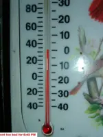 DSCF2774.webp