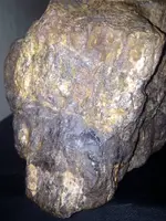 image-2726200337.webp