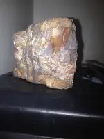 image-3077999809.webp