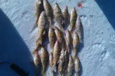 IMAG0002.webp