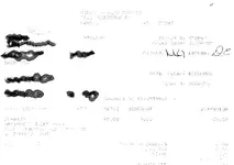 scan0005.webp