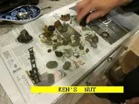 1204KENNUT.webp