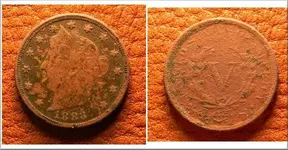 1883 liberty head no cent.webp