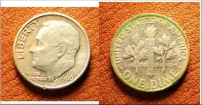 1960 rosey.webp