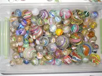 DSCN1077.webp