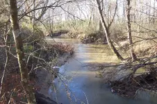 100_4589.webp