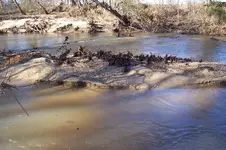 100_4595.webp