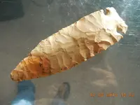 DSCN3588.webp