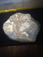 image-2085988672.webp