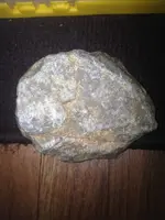 image-3905610198.webp