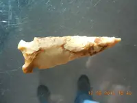 DSCN3603.webp