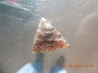 DSCN3601.webp