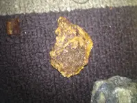 image-4163490359.webp