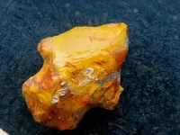 RSCN3511.webp