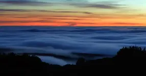 DSC_0256fzsmsz-crop.webp
