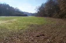 100_4590.webp