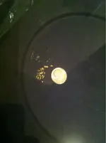 image-1058496672.webp