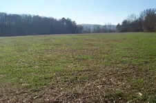 100_4592.webp