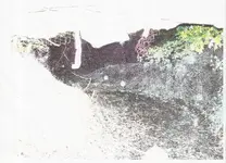 Scan5.webp