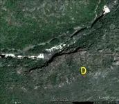 D1.webp