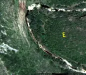 E1.webp