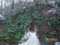 100_2378.webp