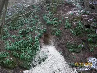 100_2341.webp