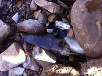 image-180713019.webp