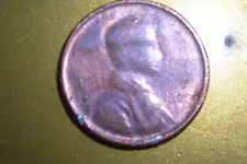 DSCN4772.webp