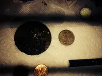 image-3878055571.webp