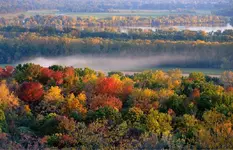 image-3813467762.webp