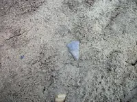100_8760.webp