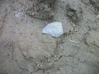 100_8761.webp