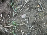 100_8770.webp