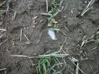 100_8771.webp
