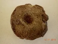 DSCN2990.webp