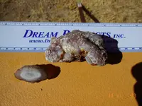 DSCN2052.webp