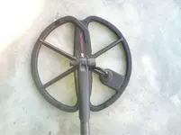 image-686769568.webp