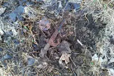 found 12-28-2013.webp found 12-28-2013.webp