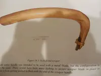 DSCN3570.webp
