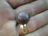 CSA BUTTON.webp