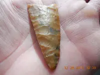 DSCN3602.webp