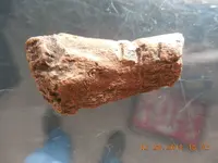 DSCN3595.webp