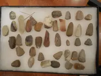DSCN3571.webp