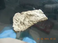 DSCN3596.webp